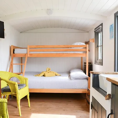 Sians Shepherds Hut - Uk43561 Semesterbostad *