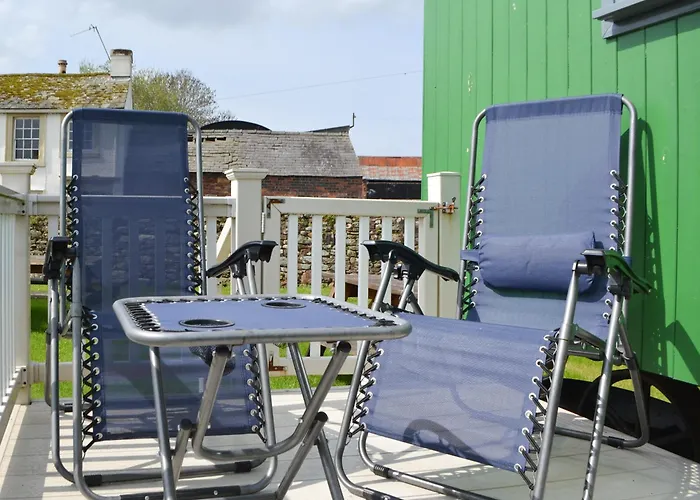 Sians Shepherds Hut - Uk43561 Holiday home *