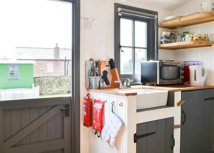 Sians Shepherds Hut - Uk43561 Holiday home