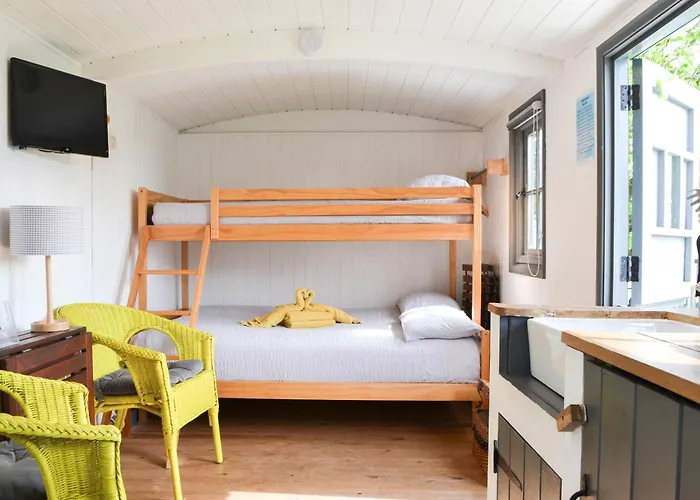 Sians Shepherds Hut - Uk43561 Holiday home *