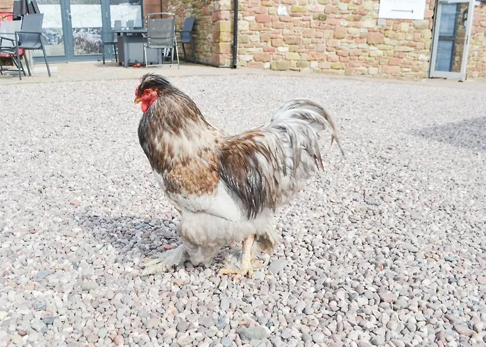 Sians Shepherds Hut - Uk43561 Holiday home Bowness-on-Solway